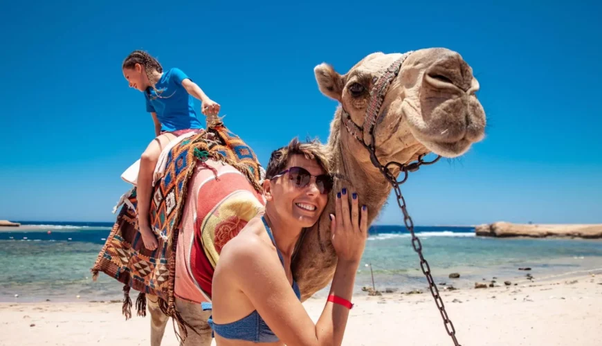 The Classic Desert Camel Expedition: A 2-Hour Journey
