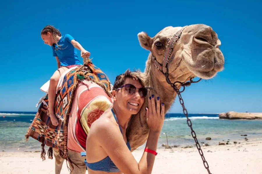 The Classic Desert Camel Expedition: A 2-Hour Journey