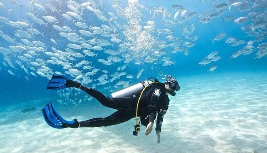 The 2-Hour Land & Sea Safari: Desert Dunes & Coastal Thrills