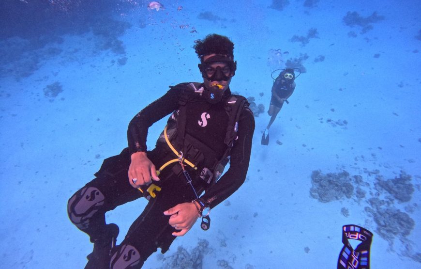 The 2-Hour Land & Sea Safari: Desert Dunes & Coastal Thrills