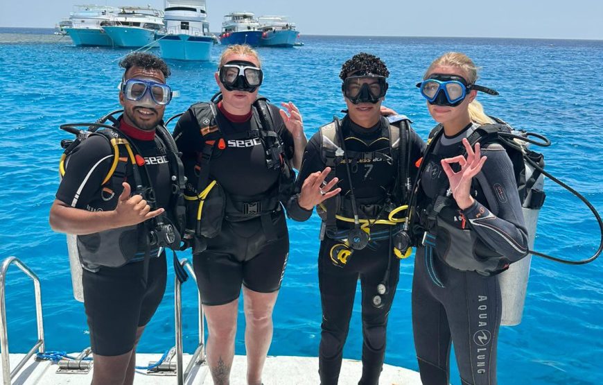 The 2-Hour Land & Sea Safari: Desert Dunes & Coastal Thrills