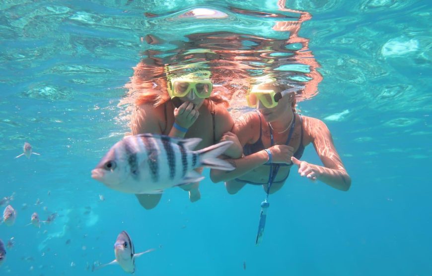 The 2-Hour Land & Sea Safari: Desert Dunes & Coastal Thrills