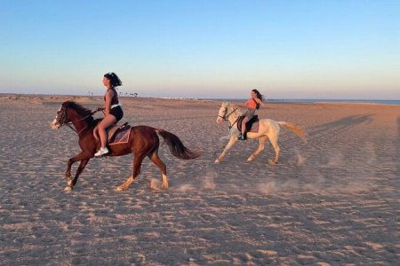 Horseback Riding in Hurghada: Desert & Seaside Trail