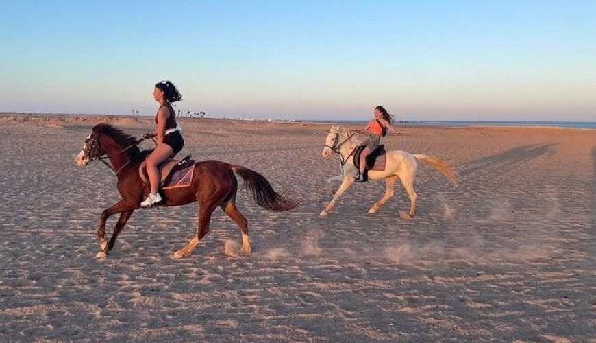 Horseback Riding in Hurghada: Desert & Seaside Trail