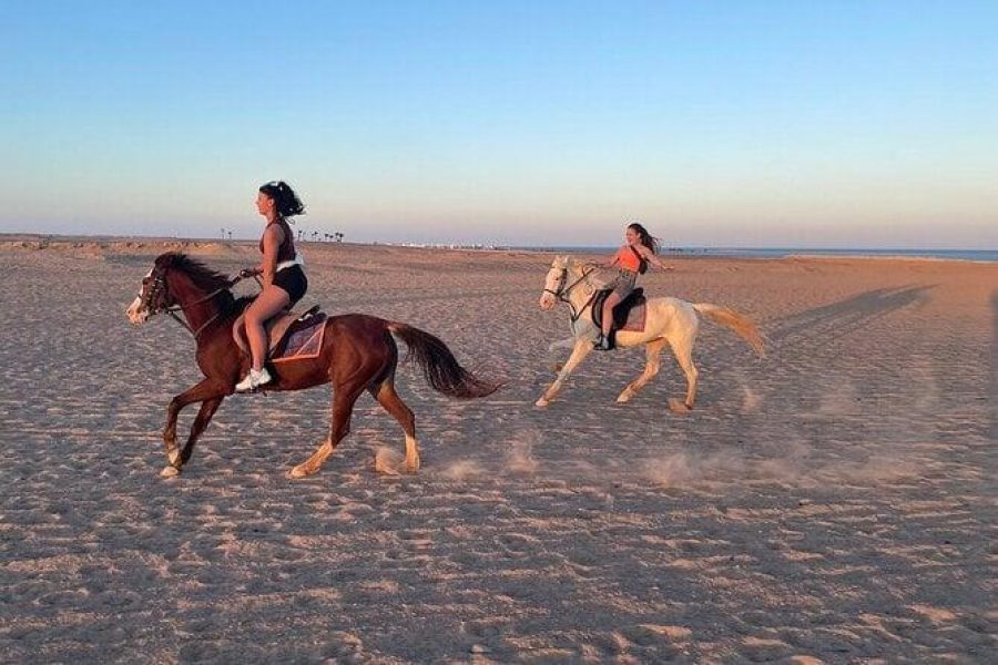 Horseback Riding in Hurghada: Desert & Seaside Trail