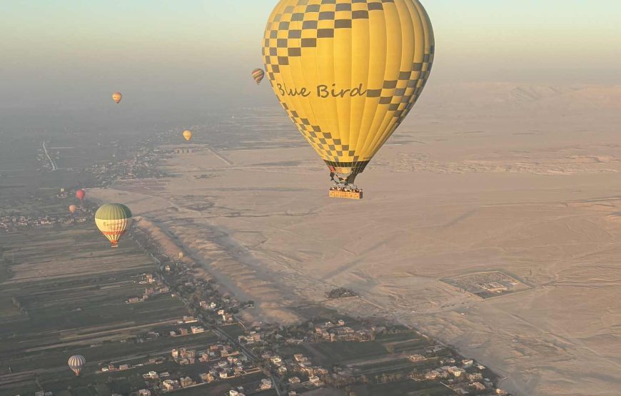 The Ultimate Super Safari: 5-in-1 Desert Adventure with Dinner & Show